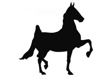 picture of Horse1