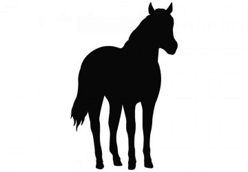 picture of Horse10