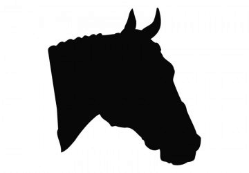 picture of Horse12