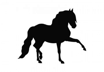 picture of Horse2