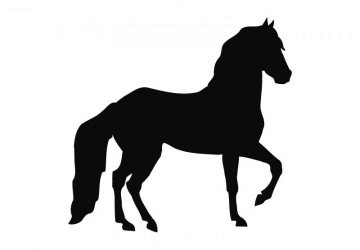 picture of Horse3