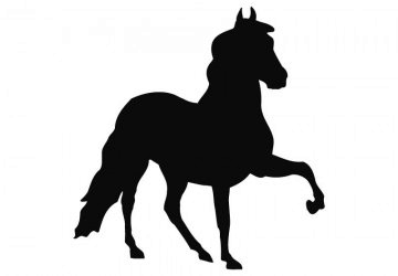 picture of Horse4