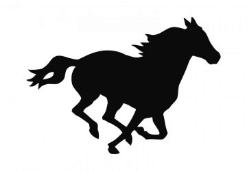 picture of Horse5