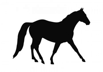 picture of Horse6
