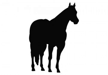 picture of Horse9